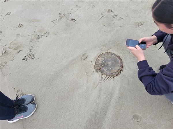 Learning about marine biology